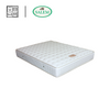 Salem Ditta Spring Mattress