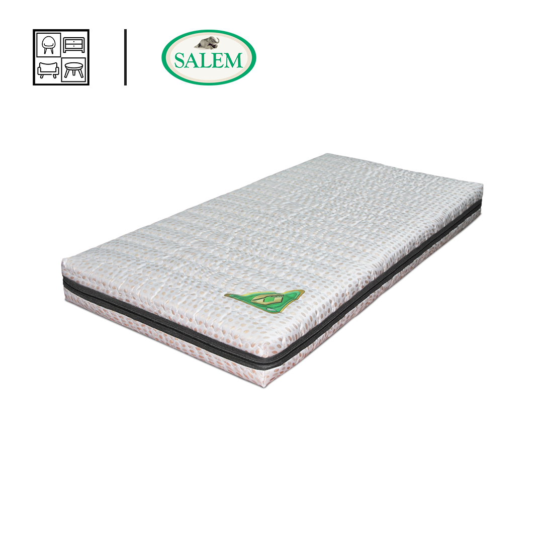 Salem G-Foam 3 8-inches Foam Mattress