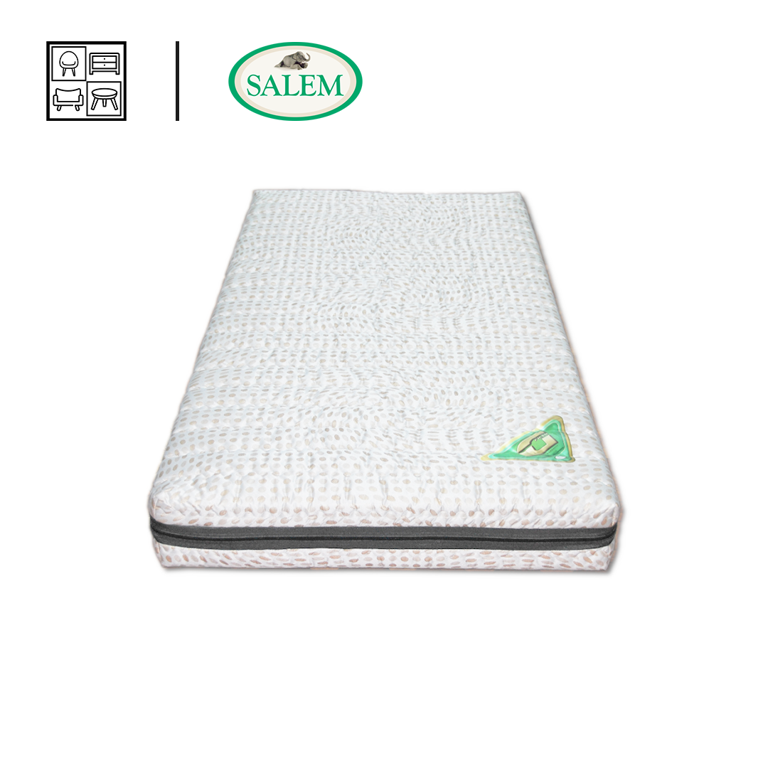 Salem G-Foam 2 6-Inches Foam Mattress