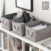 HVS Foldable Storage Box